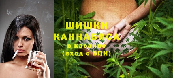 дмт Новодвинск