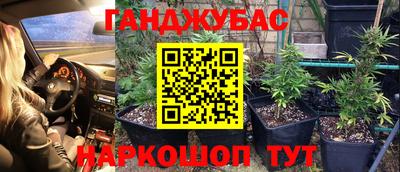 ешки Волжск