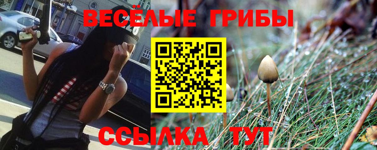 Псилоцибиновые грибы GOLDEN TEACHER Лабинск