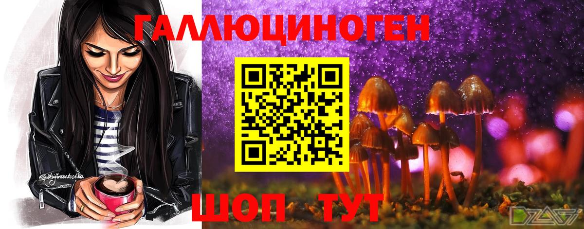 купить наркотики сайты  Псилоцибиновые грибы мухоморы  Вход с VPN  Псилоцибиновые грибы MAGIC MUSHROOMS  Лабинск 